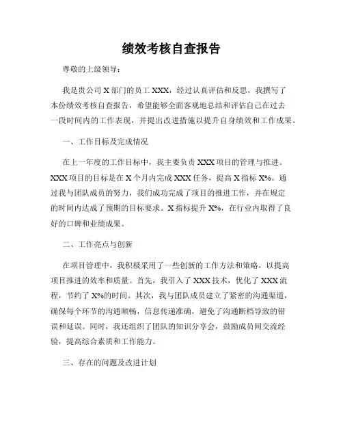 绩效考核自查报告