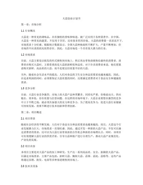 大蒜创业计划书