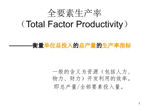 全要素生产率PPT课件