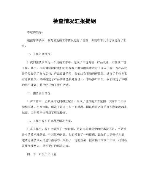 检查情况汇报提纲