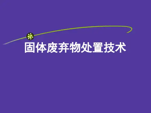 固体废弃物处置技术——固体废物固化