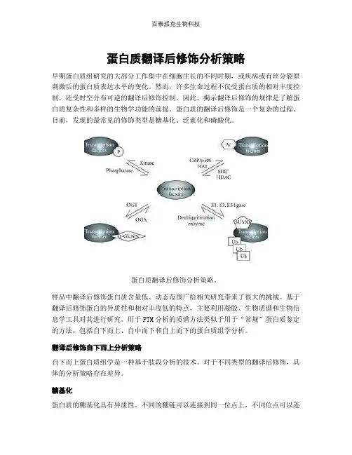 蛋白质翻译后修饰分析策略