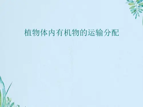 植物体内有机物的运输分配