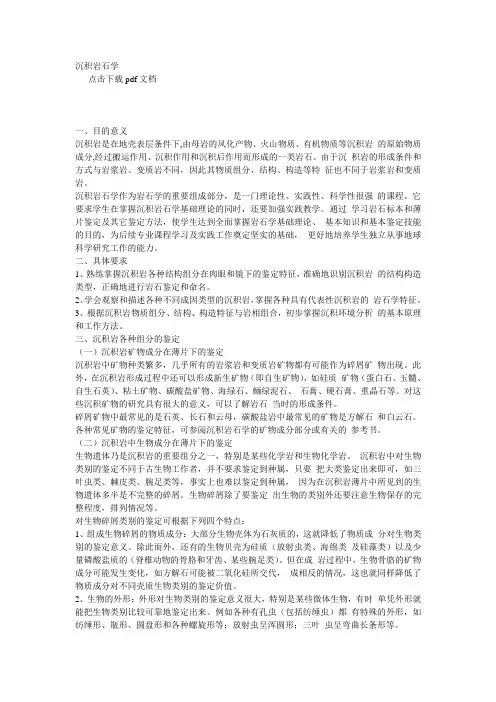 沉积岩石学