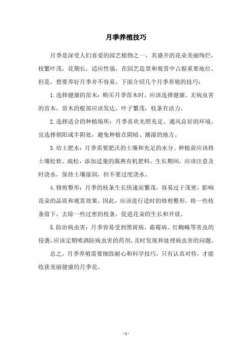 月季养殖技巧