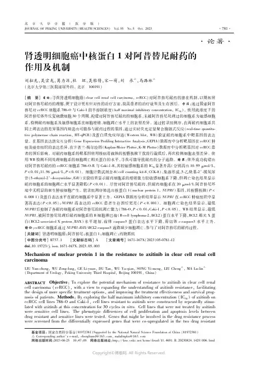 肾透明细胞癌中核蛋白1对阿昔替尼耐药的作用及机制