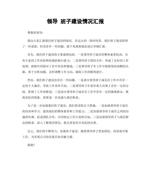 领导 班子建设情况汇报