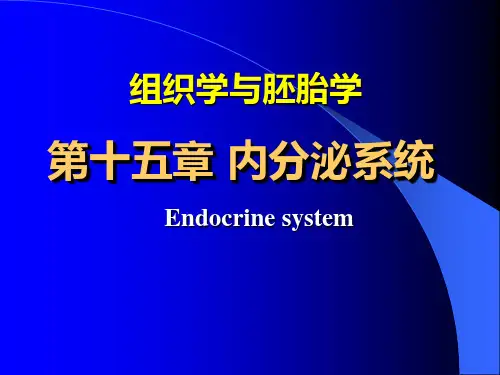 组织与胚胎学-内分泌系统