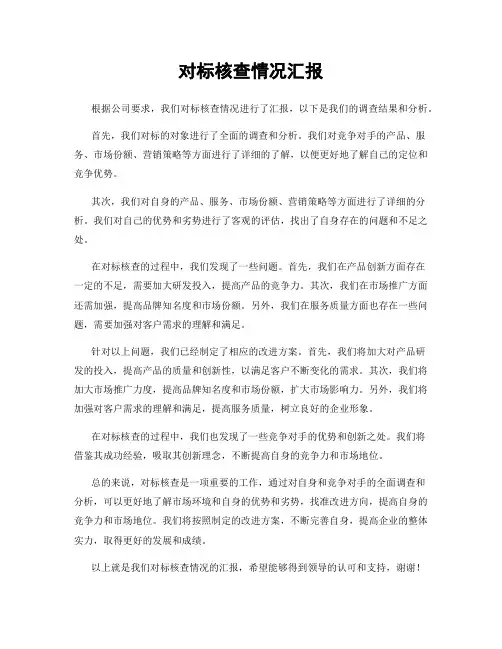 对标核查情况汇报