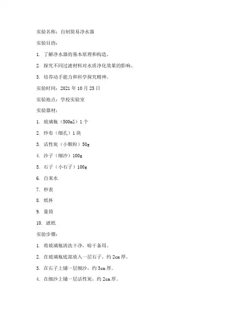 自制小实验报告
