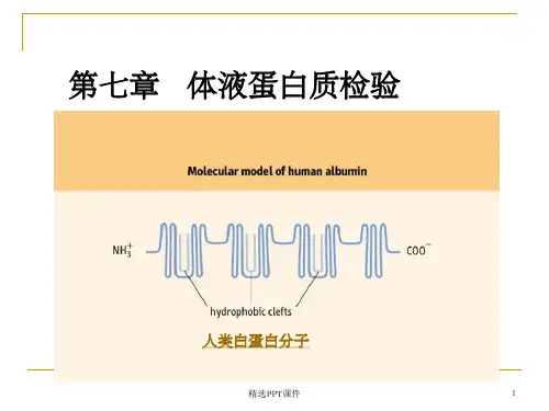 第七章体液蛋白质检验ppt课件