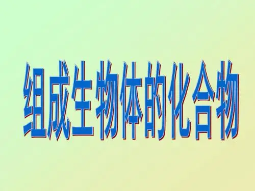 组成生物体的化合物
