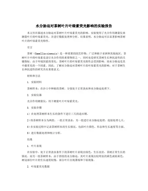 水分胁迫对茶树叶片叶绿素荧光影响的实验报告