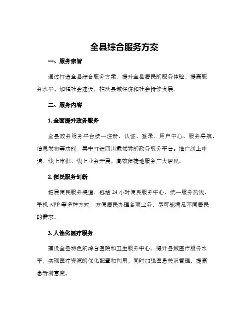 全县综合服务方案