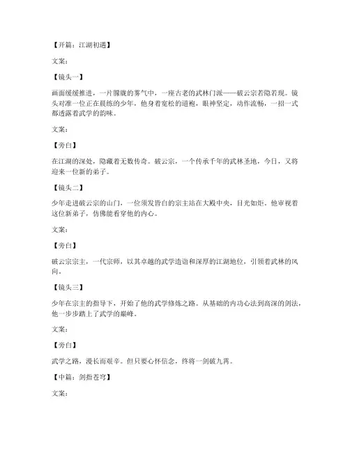 武术短视频剧情解析文案