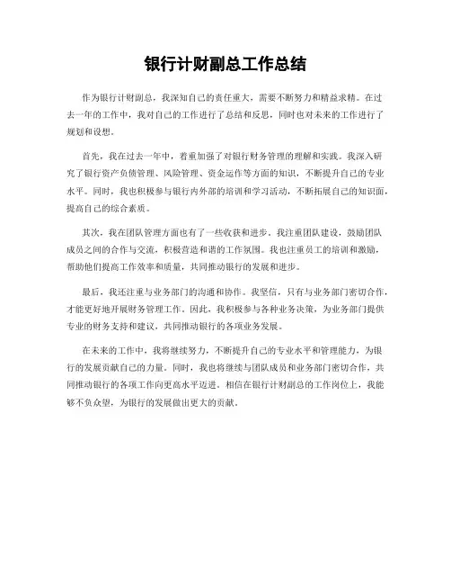 银行计财副总工作总结