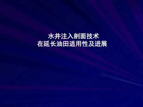水井注入剖面技术在延长油田适用性及改进