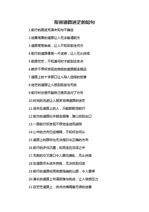 形容道路迷茫的短句-概述说明以及解释