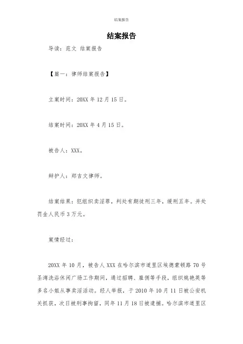 结案报告