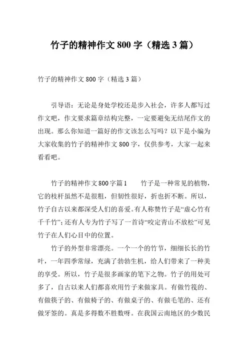 竹子的精神作文800字(精选3篇)
