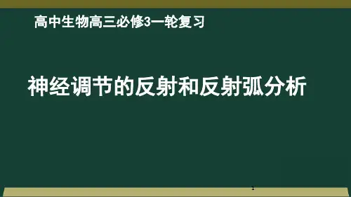 江西省新余市第四中学高三一轮复习人教版生物必修三课件：第2章第1节神经调节的反射和反射弧分析(共41张PPT)