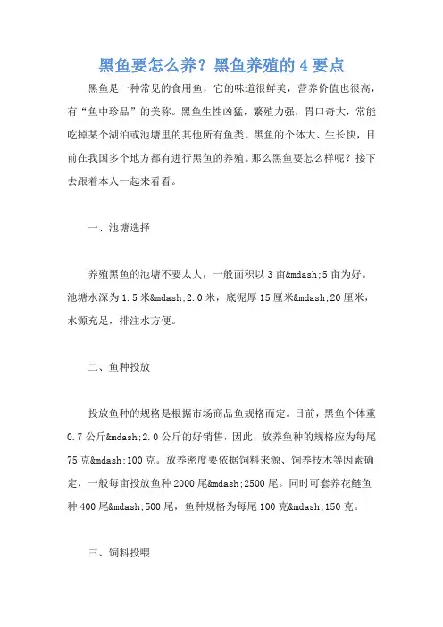 黑鱼要怎么养？黑鱼养殖的4要点