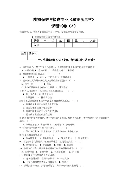 农业昆虫试题