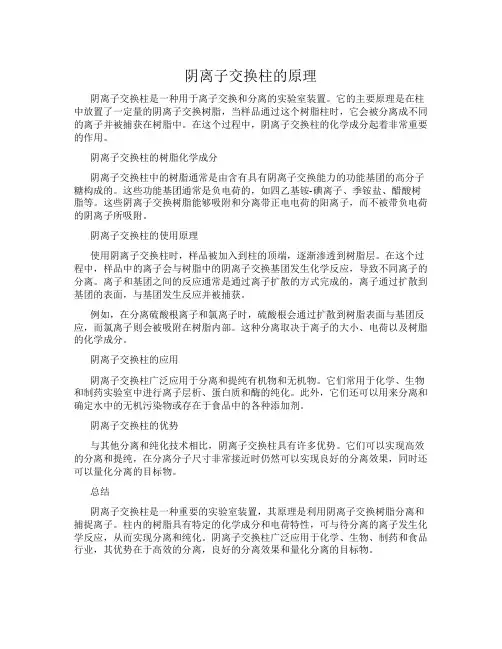 阴离子交换柱的原理