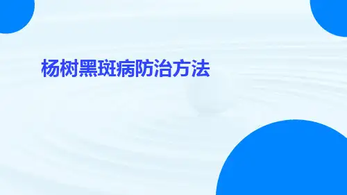 杨树黑斑病防治方法