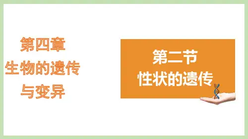 性状的遗传 济南版八年级生物上册