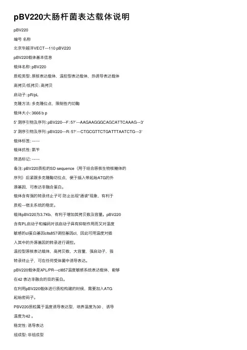 pBV220大肠杆菌表达载体说明