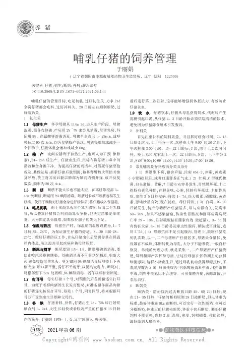 哺乳仔猪的饲养管理
