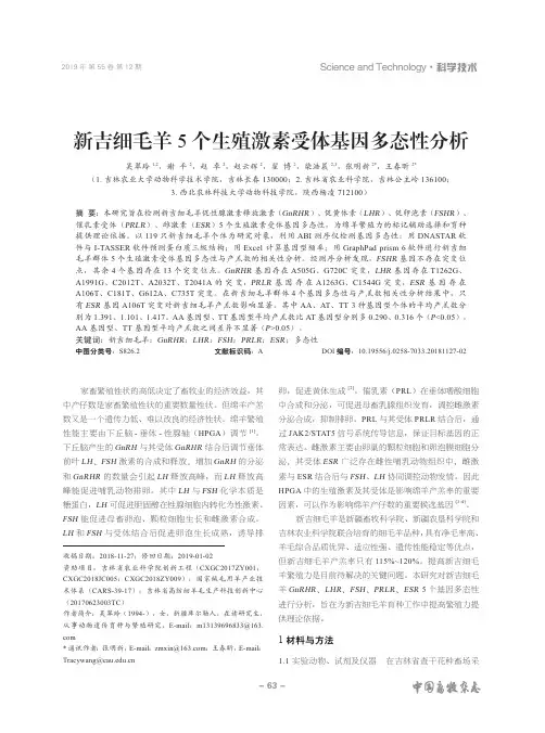 新吉细毛羊5个生殖激素受体基因多态性分析