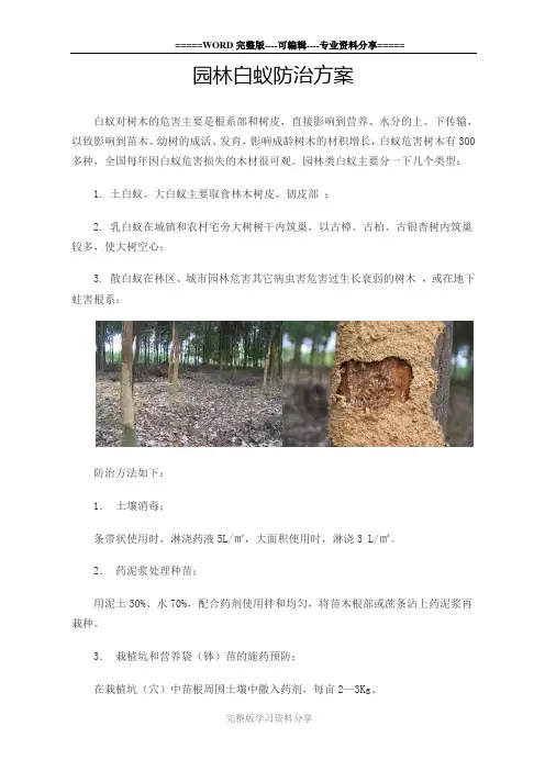园林白蚁防治方案