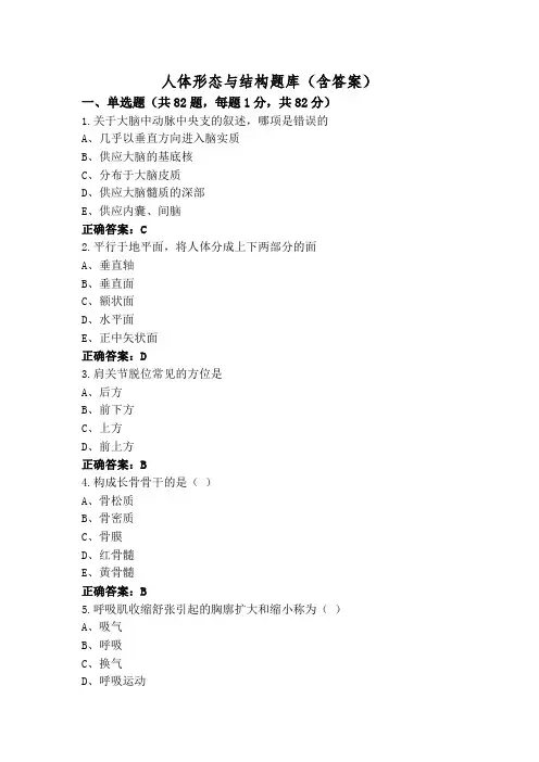 人体形态与结构题库(含答案)