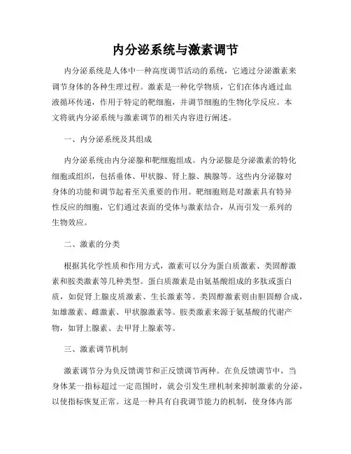 内分泌系统与激素调节