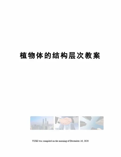 植物体的结构层次教案