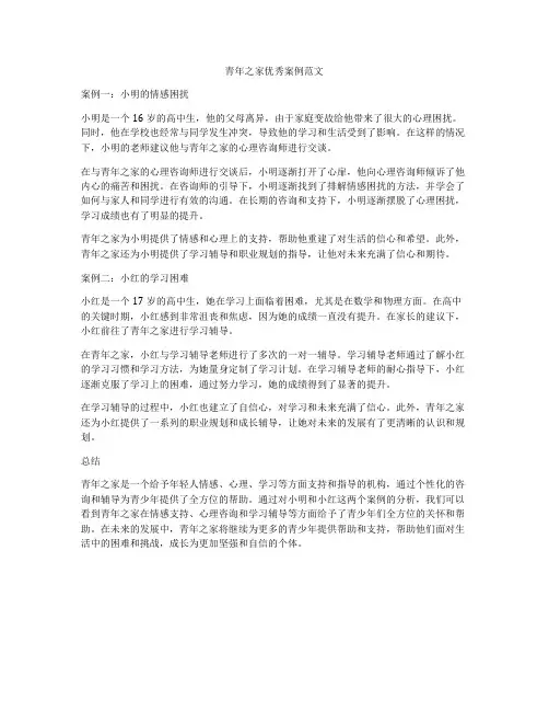 青年之家优秀案例范文