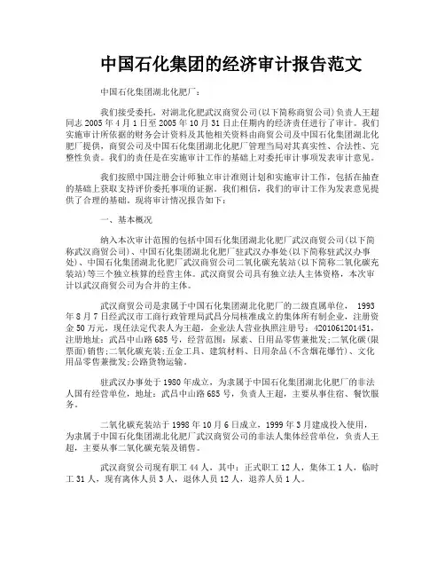 中国石化集团的经济审计报告范文