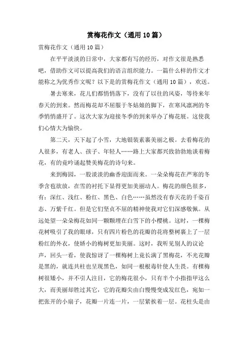 赏梅花作文(通用10篇)