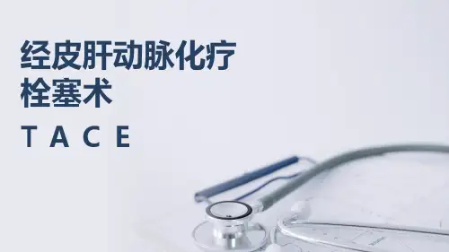 经皮肝动脉化疗栓塞术TACE