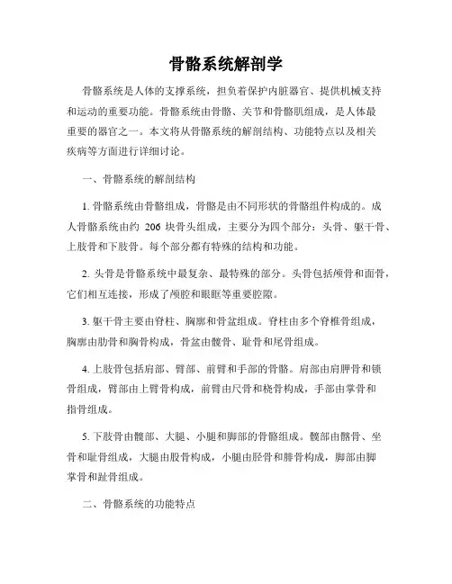 骨骼系统解剖学