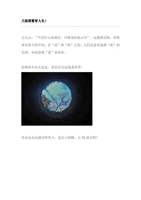 几张图看穿人生