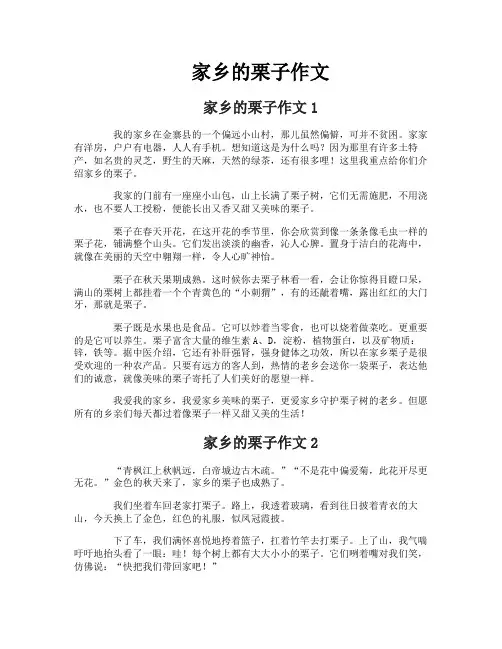 家乡的栗子作文