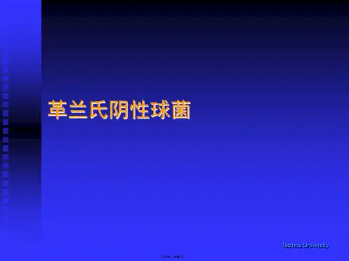 革兰氏阴性球菌