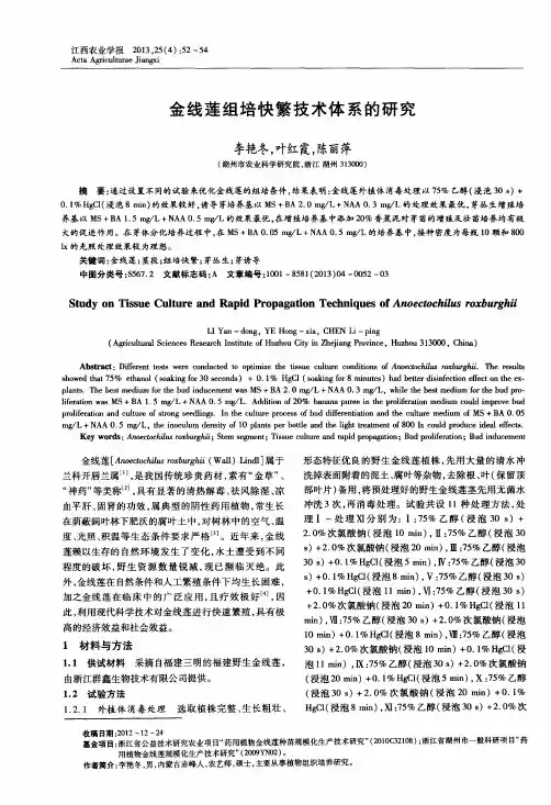 金线莲组培快繁技术体系的研究