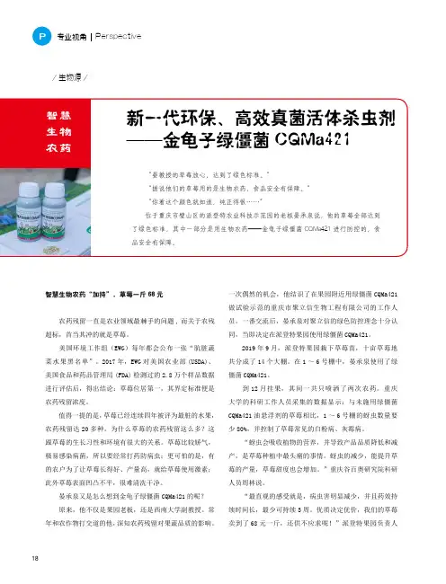 新一代环保、高效真菌活体杀虫剂——金龟子绿僵菌CQMa421