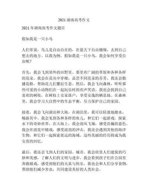 2021湖南高考作文