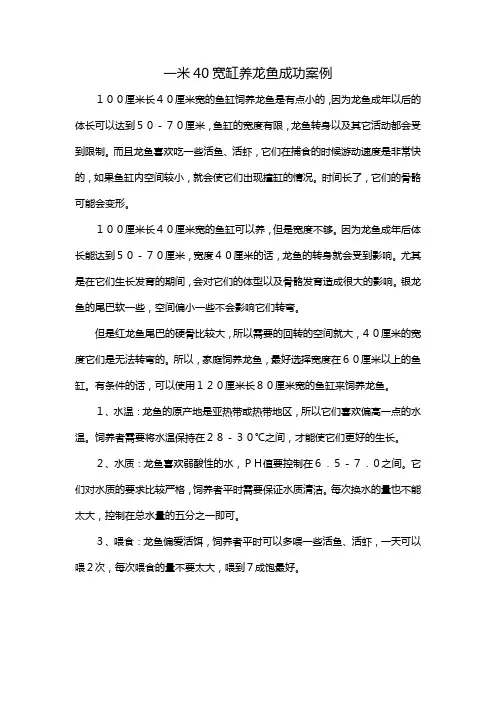一米40宽缸养龙鱼成功案例