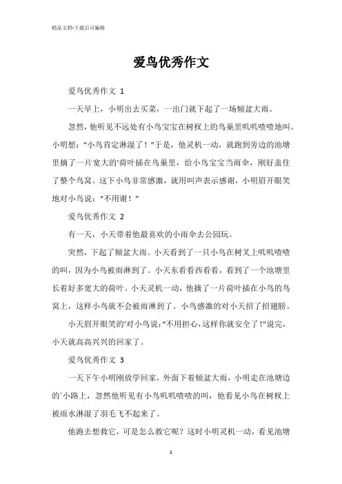 爱鸟优秀作文